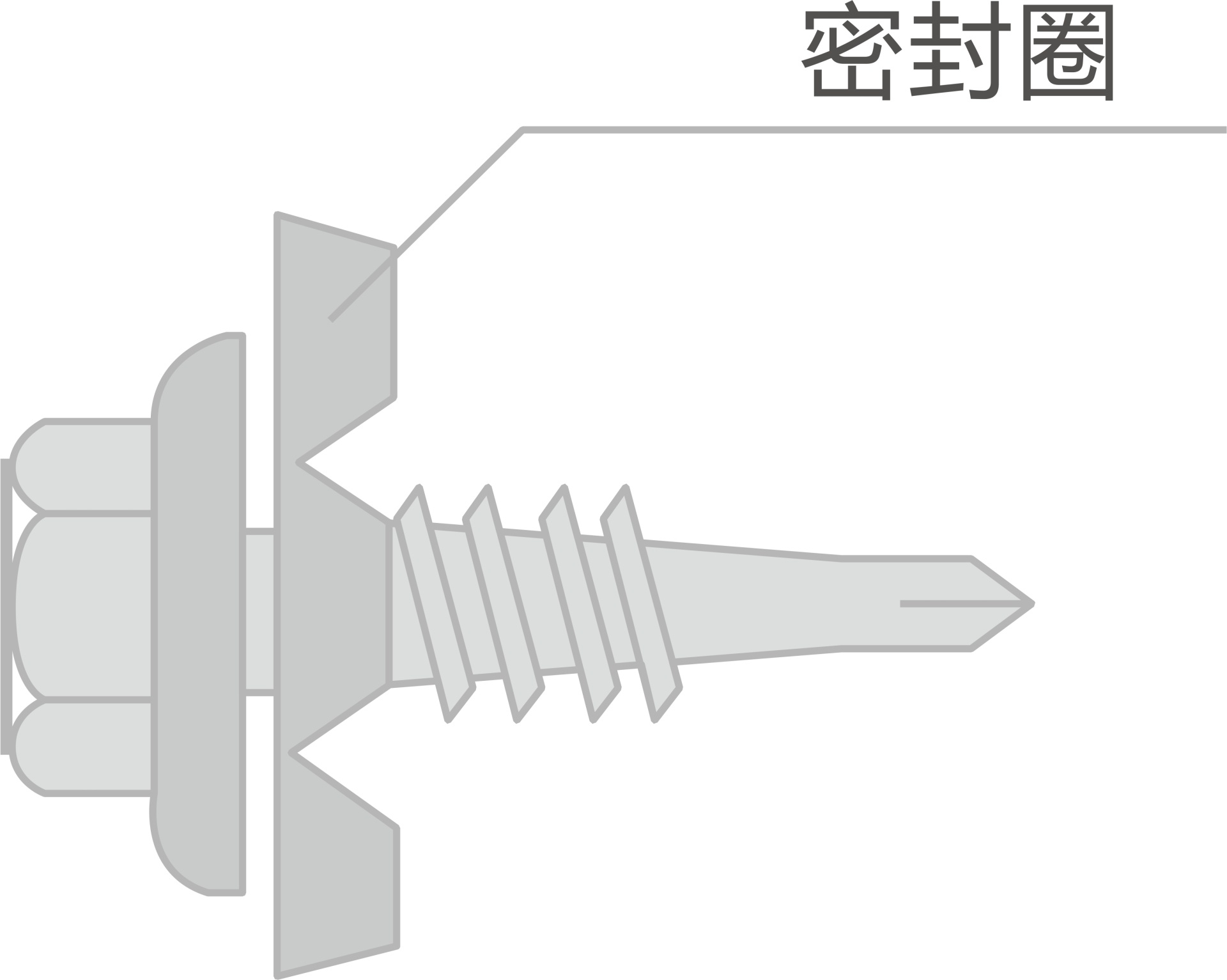 科(kē)利
